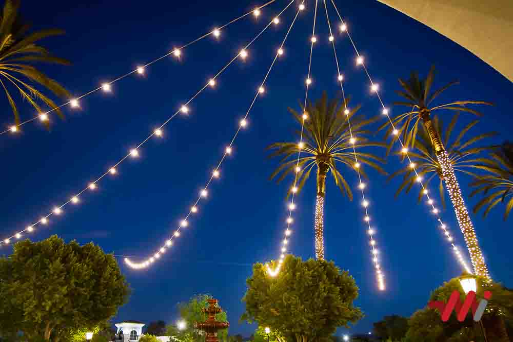 Resort Event Lighting Chennai — fairy lights and chandeliers draped across a lush resort garden at night