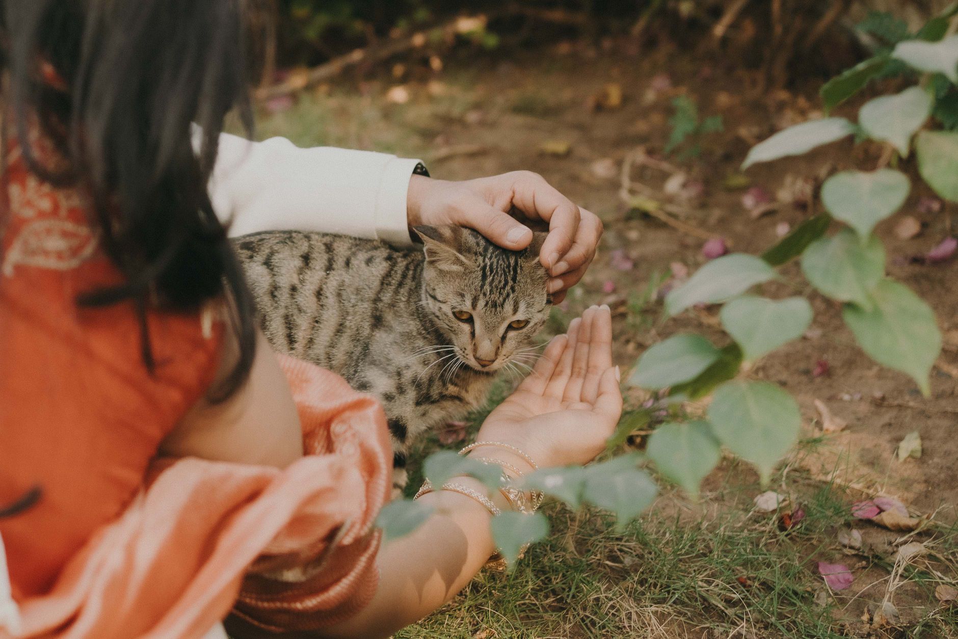 Function Pet Care