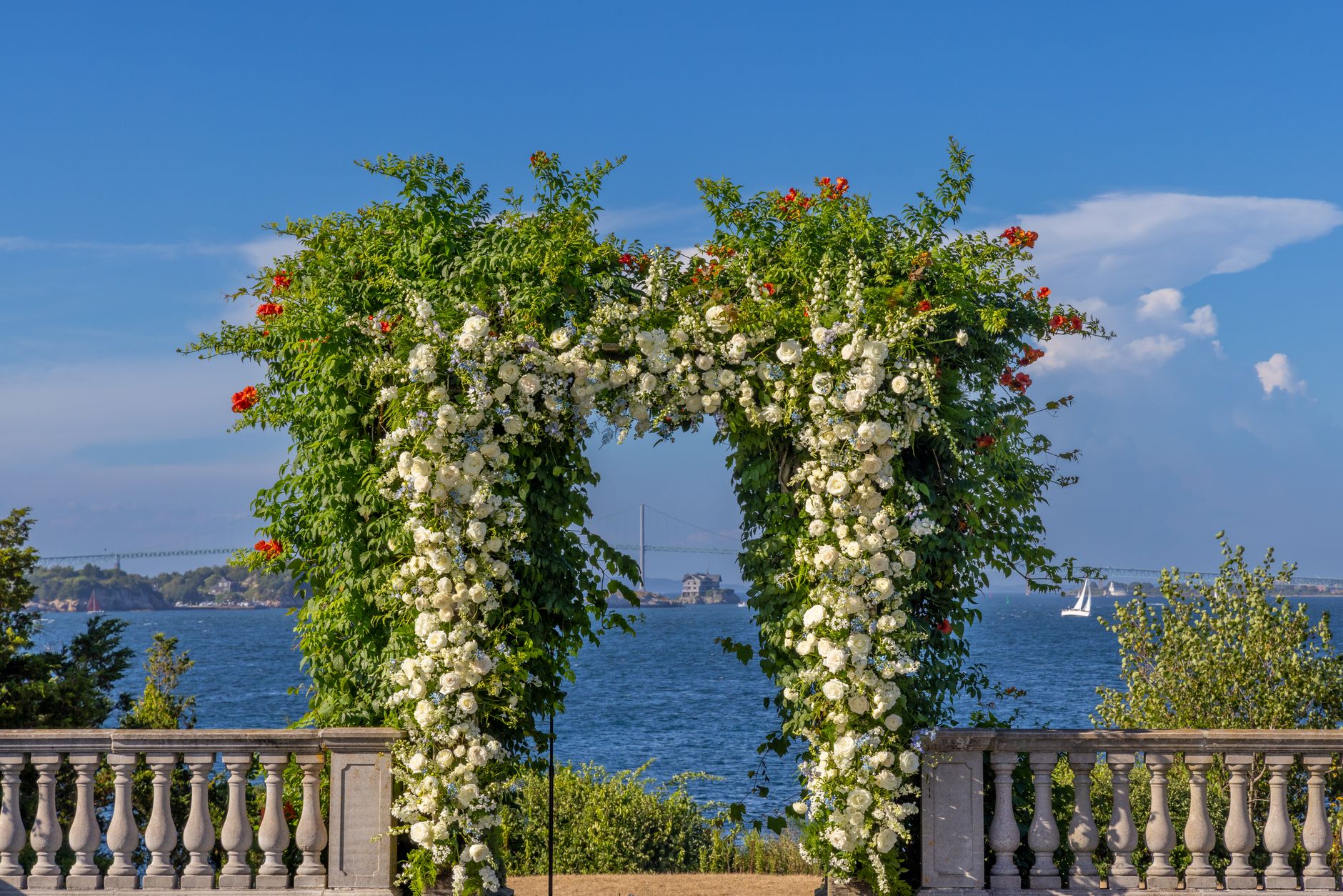 Blooms That Take Your Breath Away