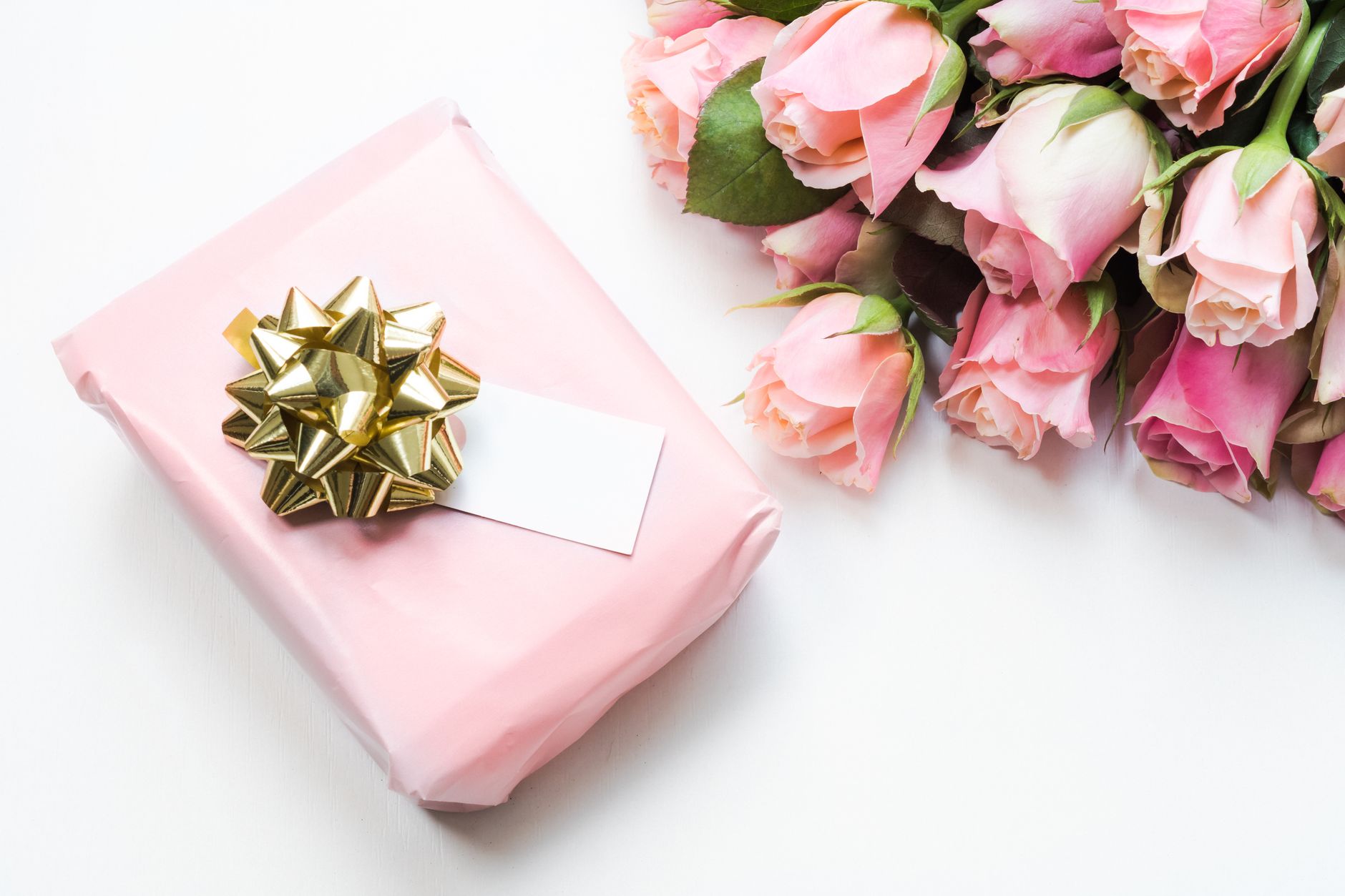 Gift a Sapling, Grow a Memory
