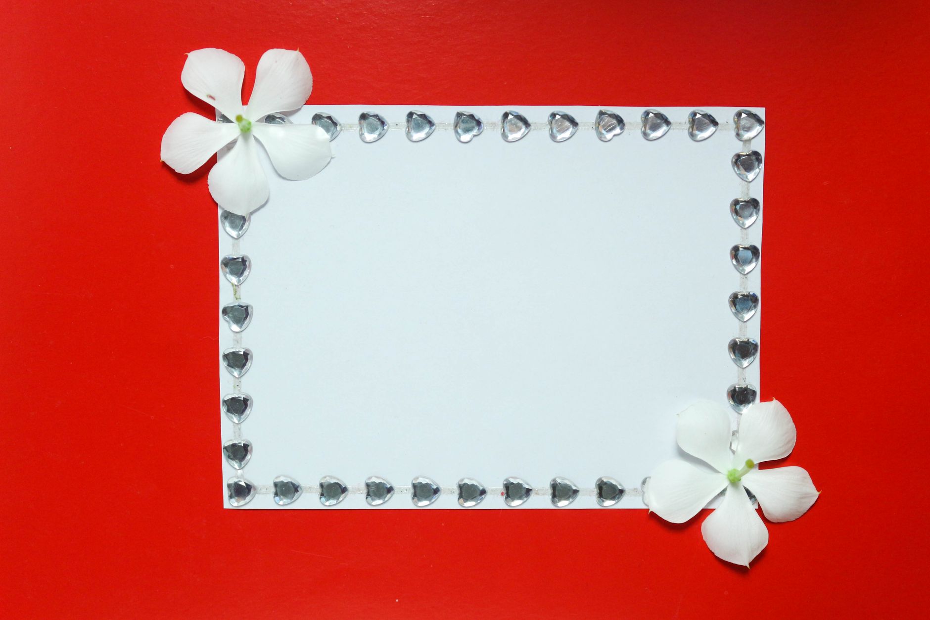 Social Celebration Invitations