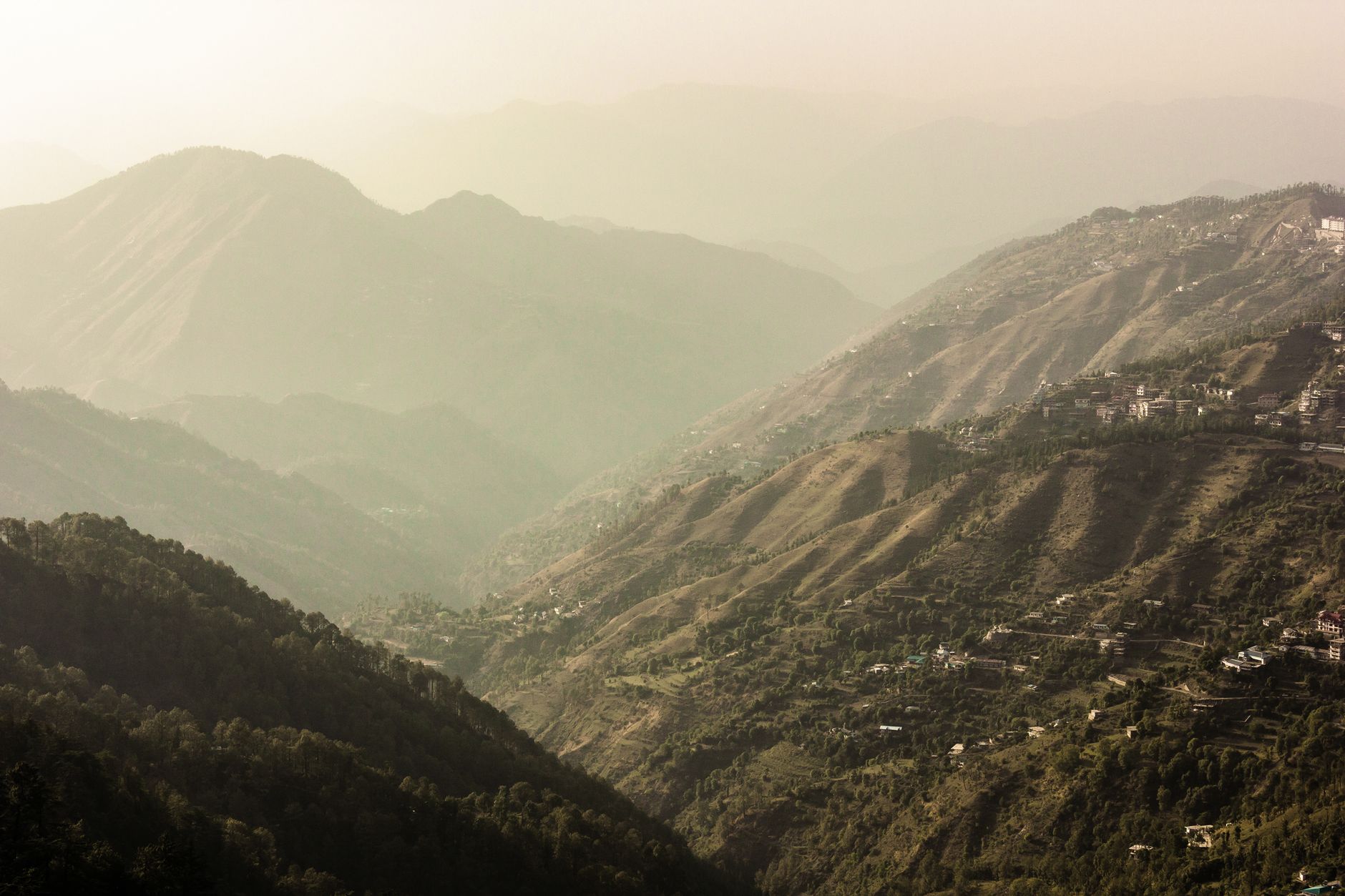 Capture Every Shimla Moment, Naturally