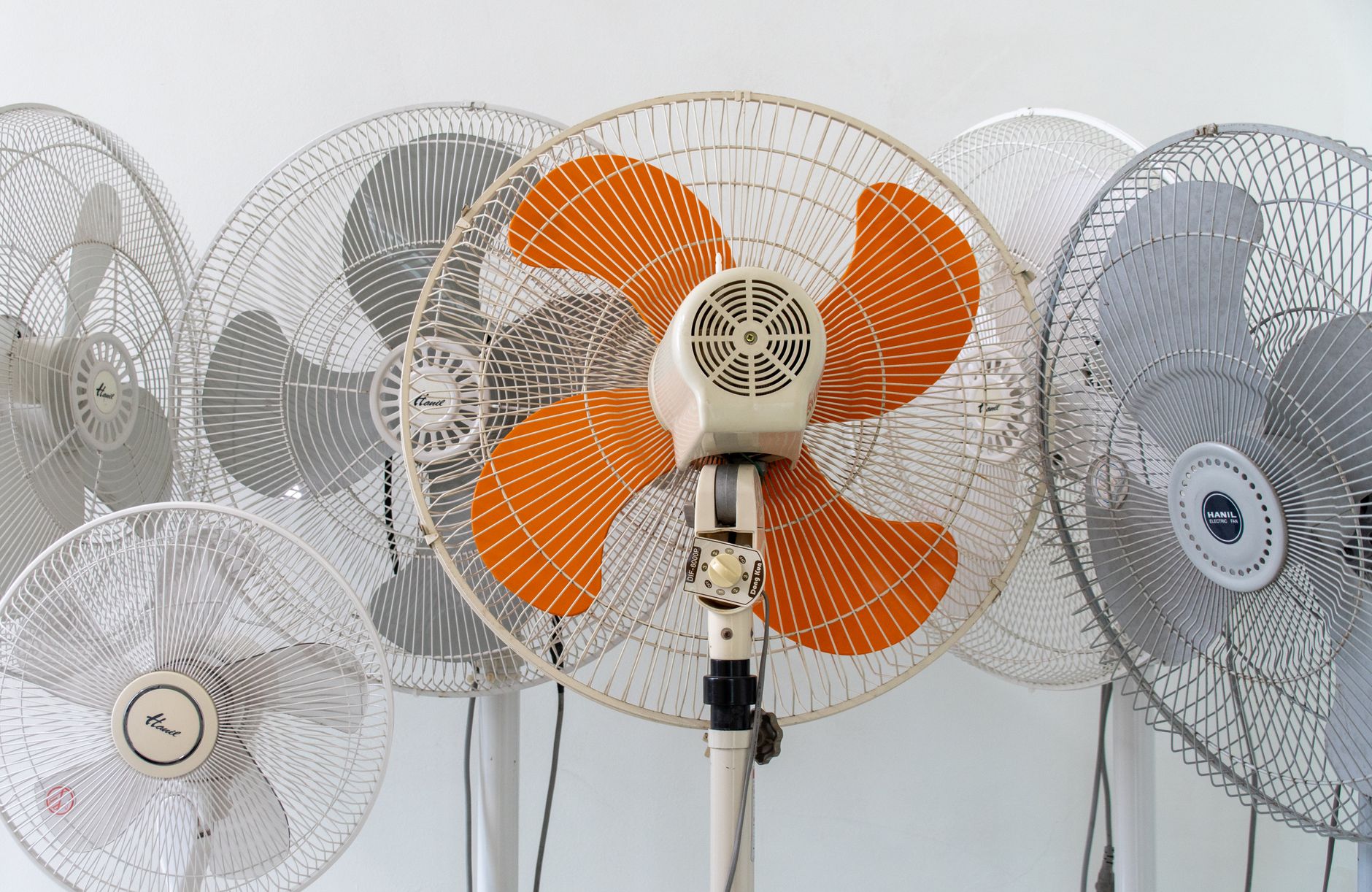 Celebration Fan Rentals
