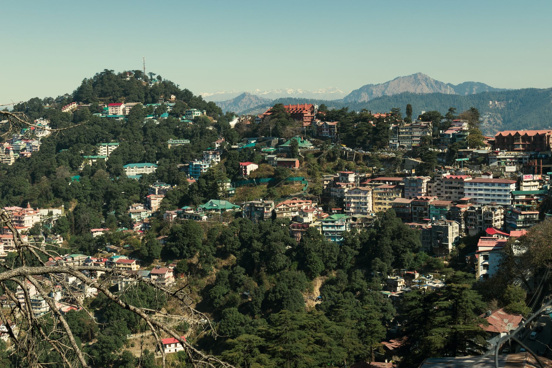 Shimla's Trusted Event Transport Experts