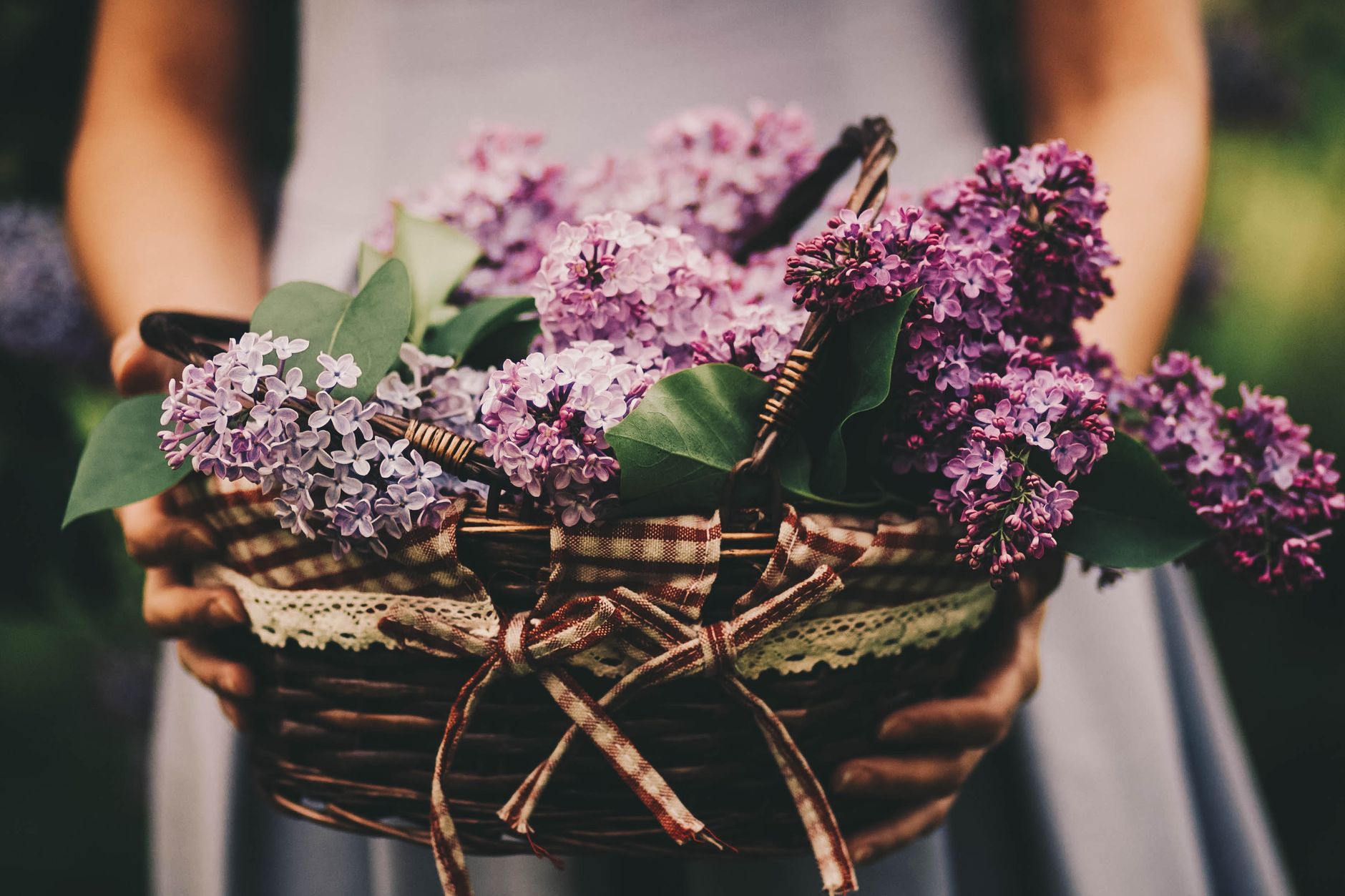 Sacred Petal Baskets for Shimla Rituals