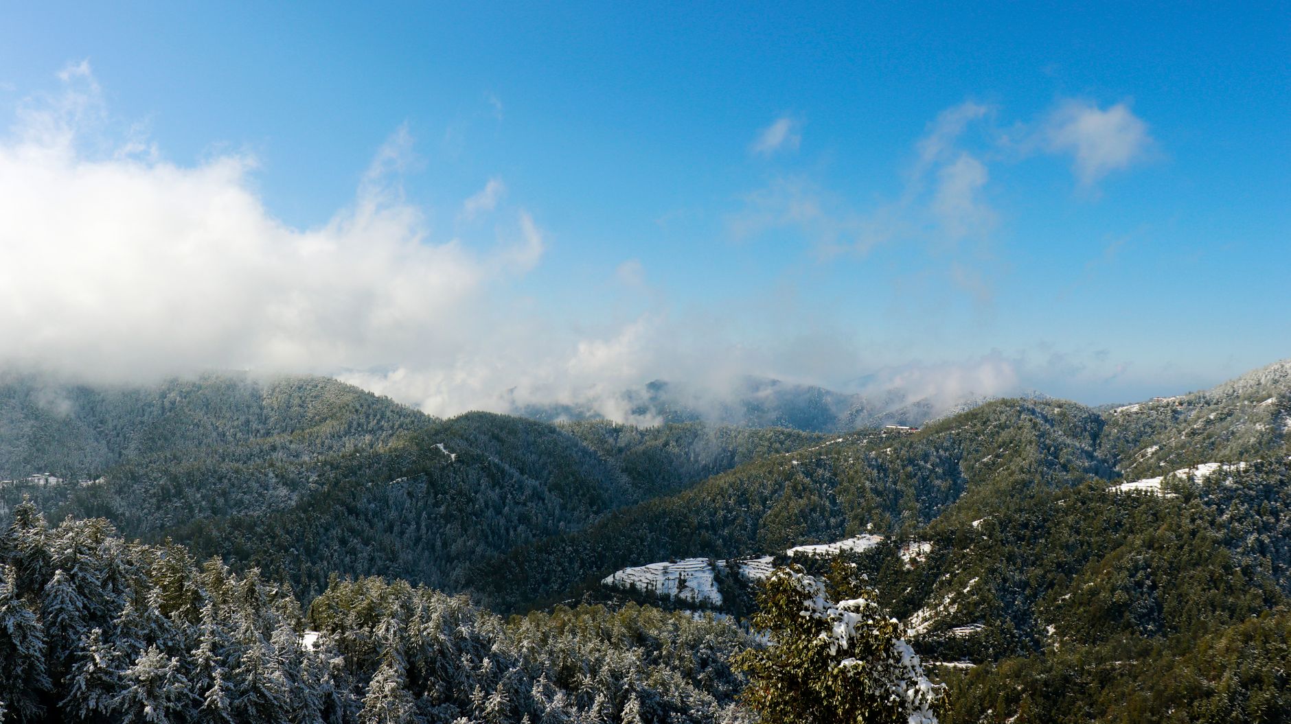 Shimla's Finest Mindfulness Venues