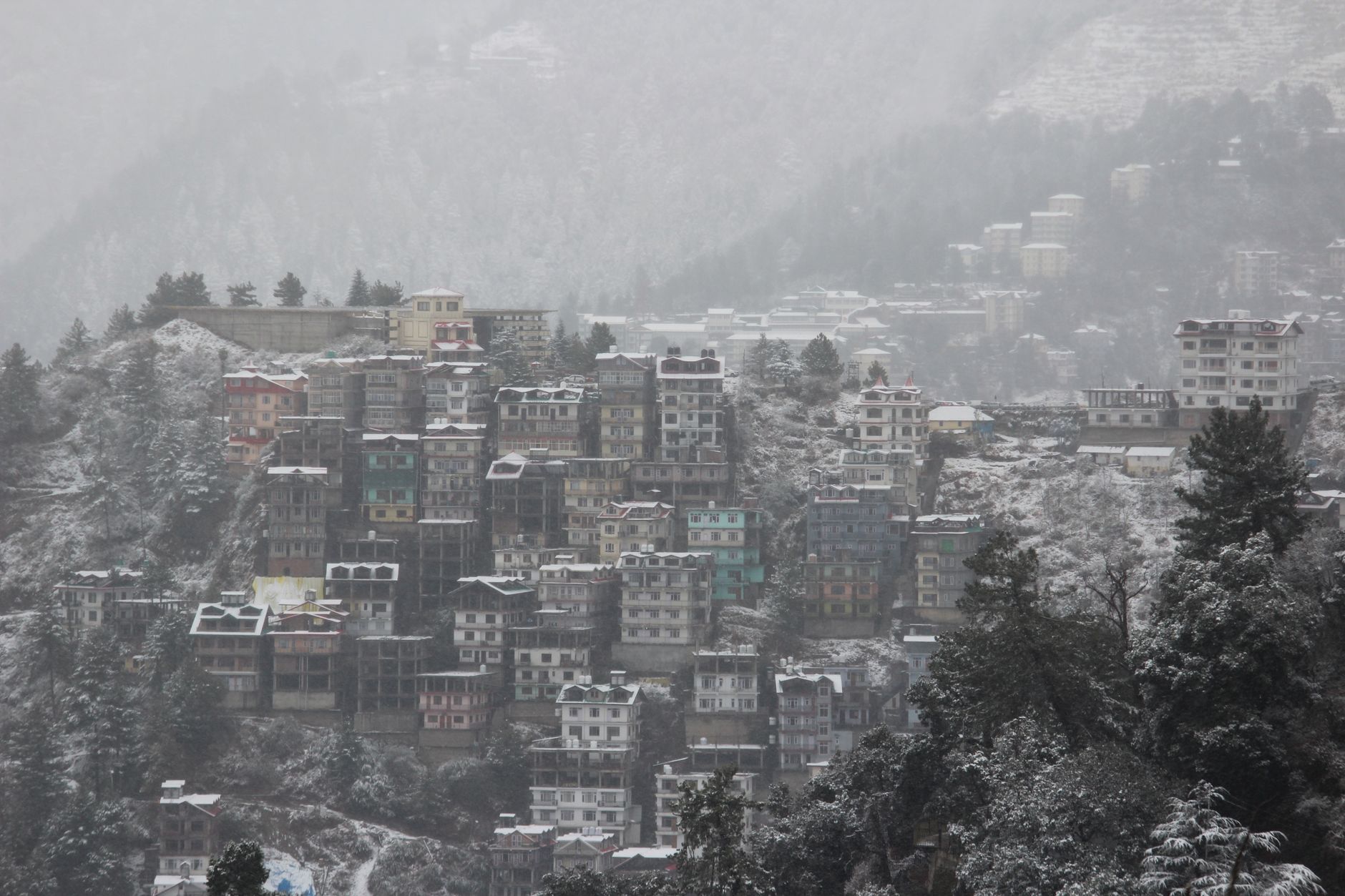 Party in Style Across Shimla