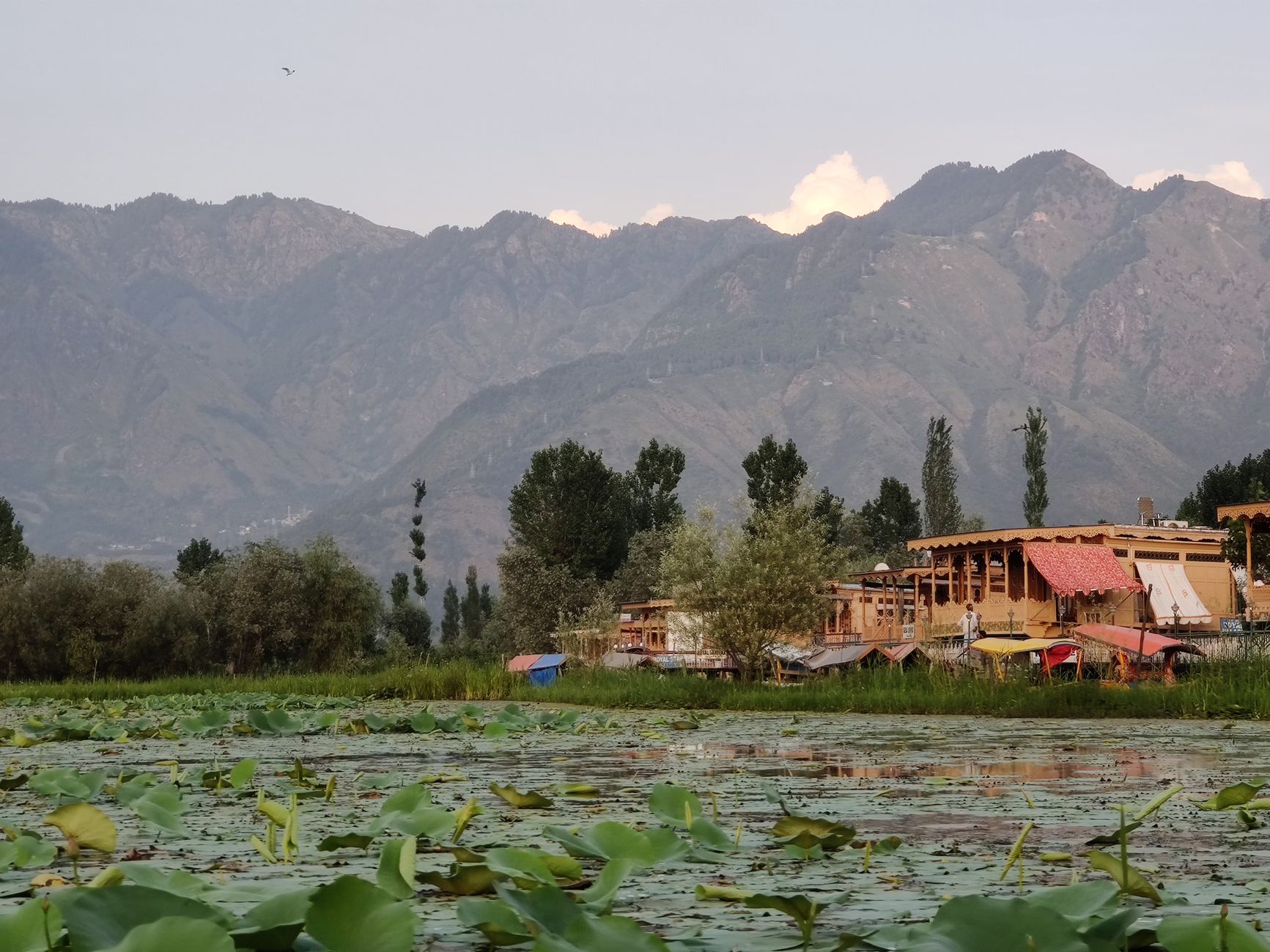 Accommodation Information Website