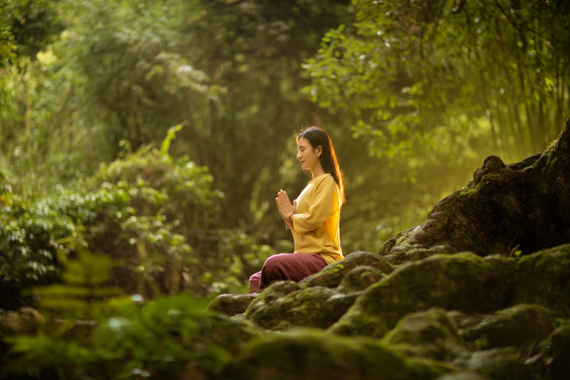 Surat's Best Meditation Retreat Venues