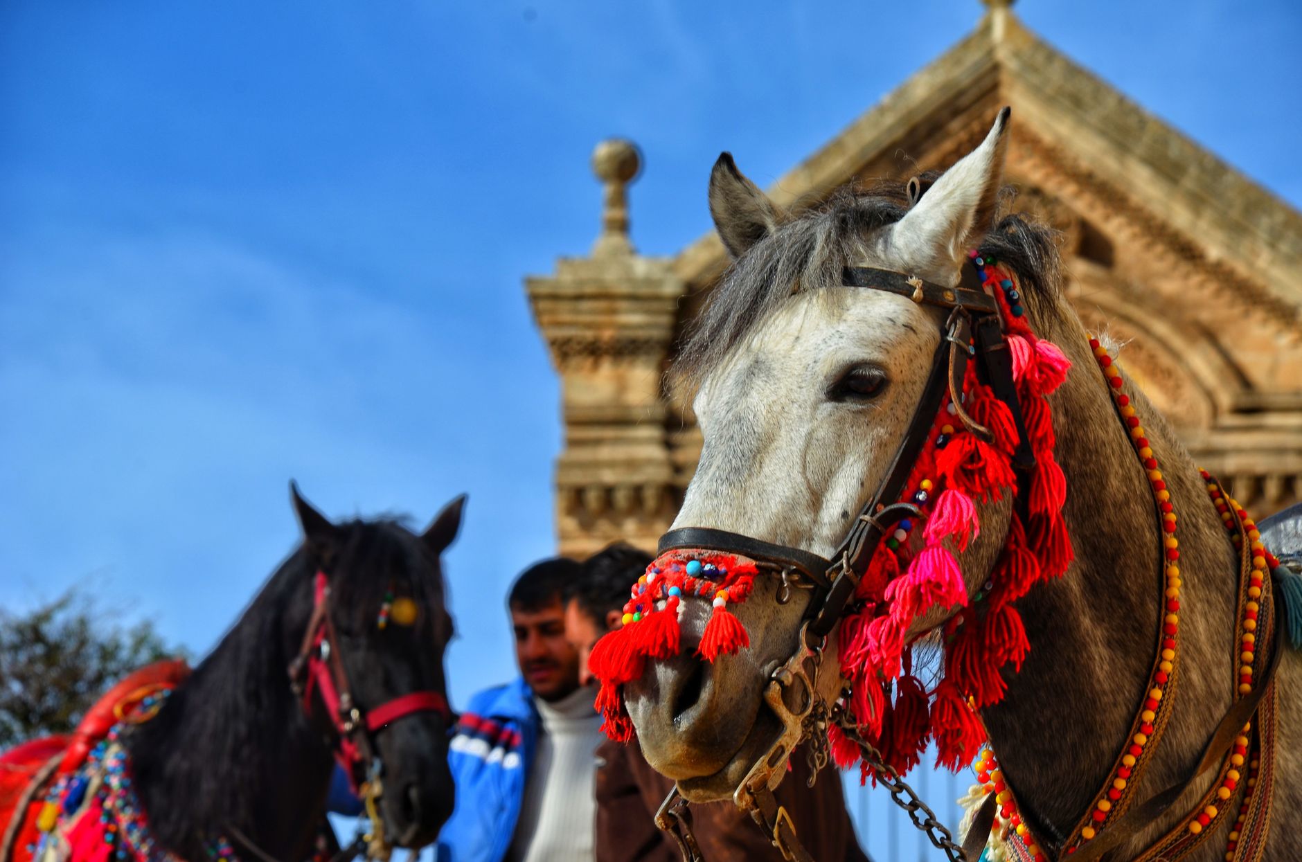 Royal Baraat Starts Here