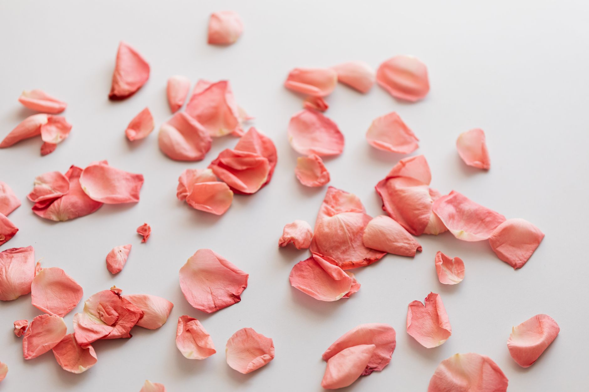 Rose Fragrance Diffusion