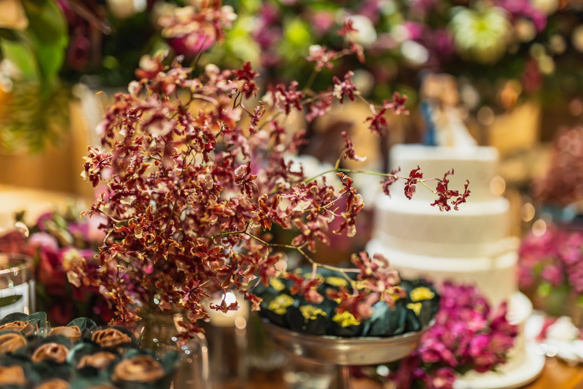 Orchid Decor Services, Tirupati