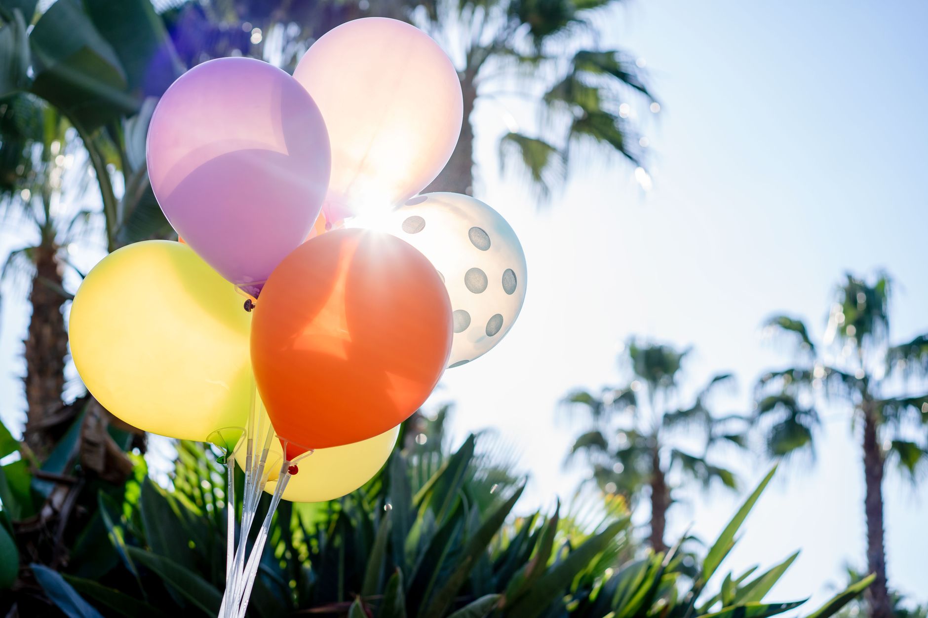 Balloon Magic for Trivandrum Gardens