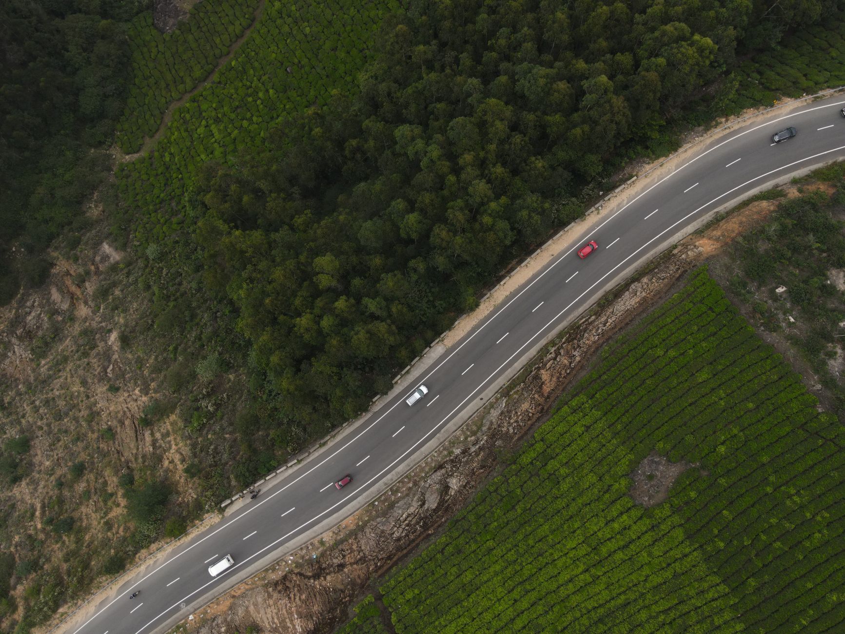 Elevate Your Wedding Story from Above