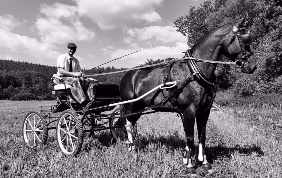 Two-Horse Wedding Chariot