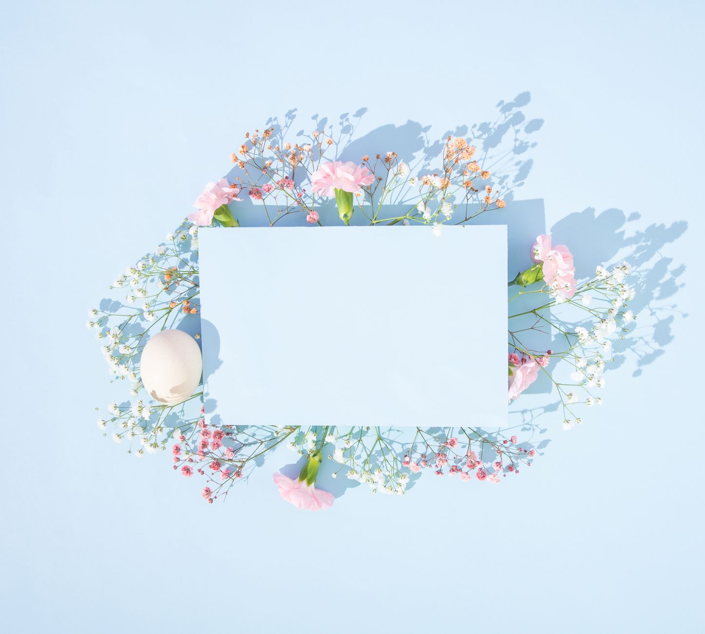 Birthday Invitation Cards