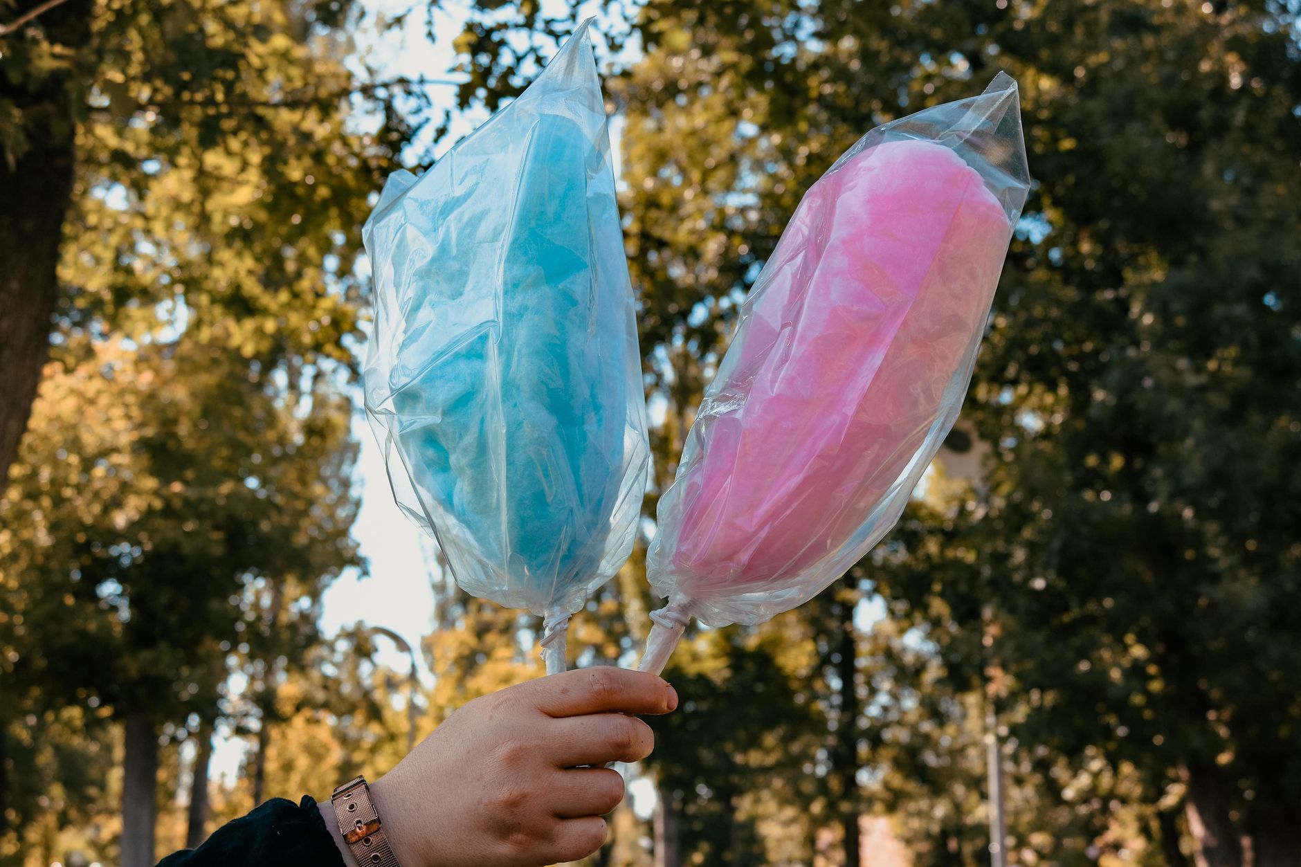 Carnival Sugar Floss