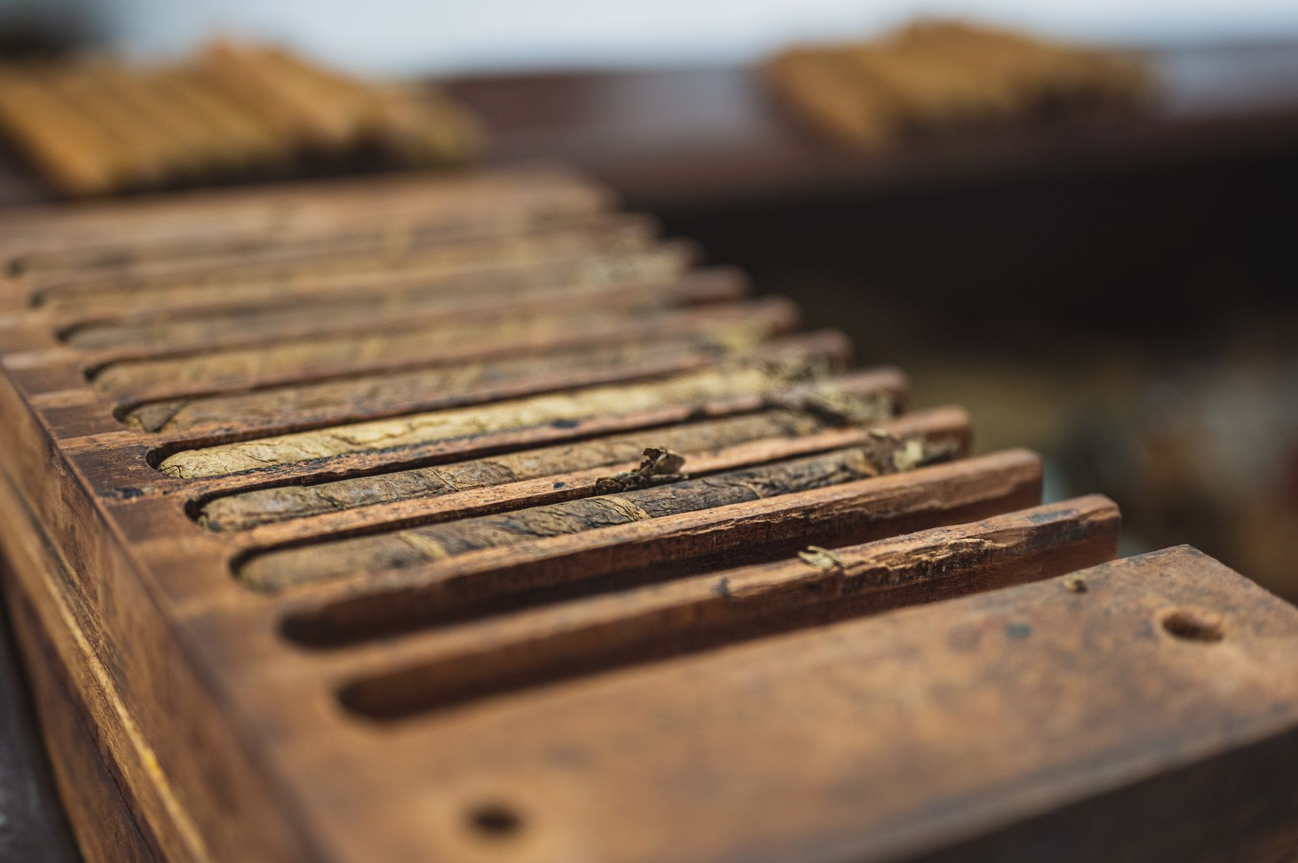 Cigar Craft Demonstrations