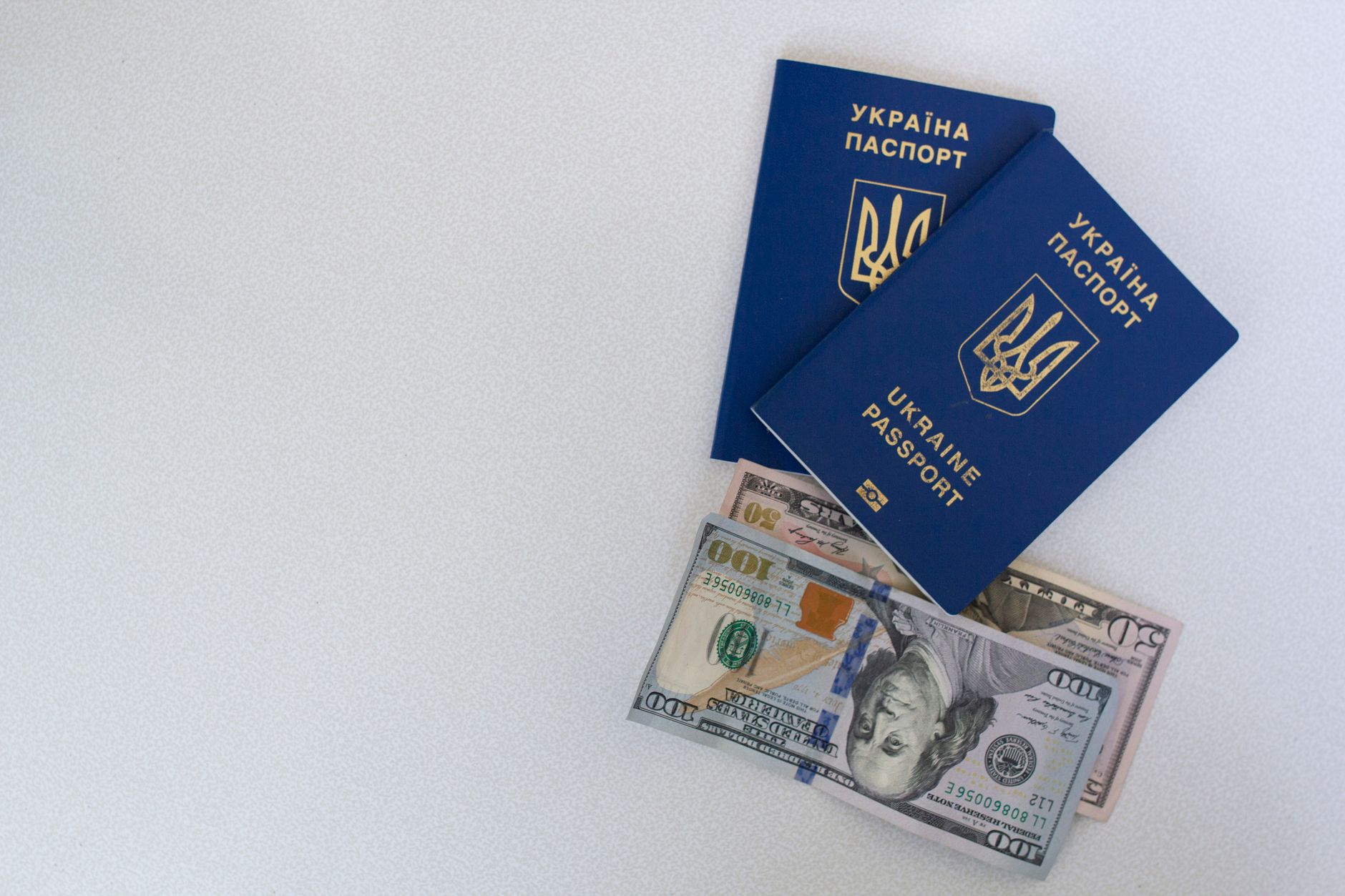 Guest Visa Assistance