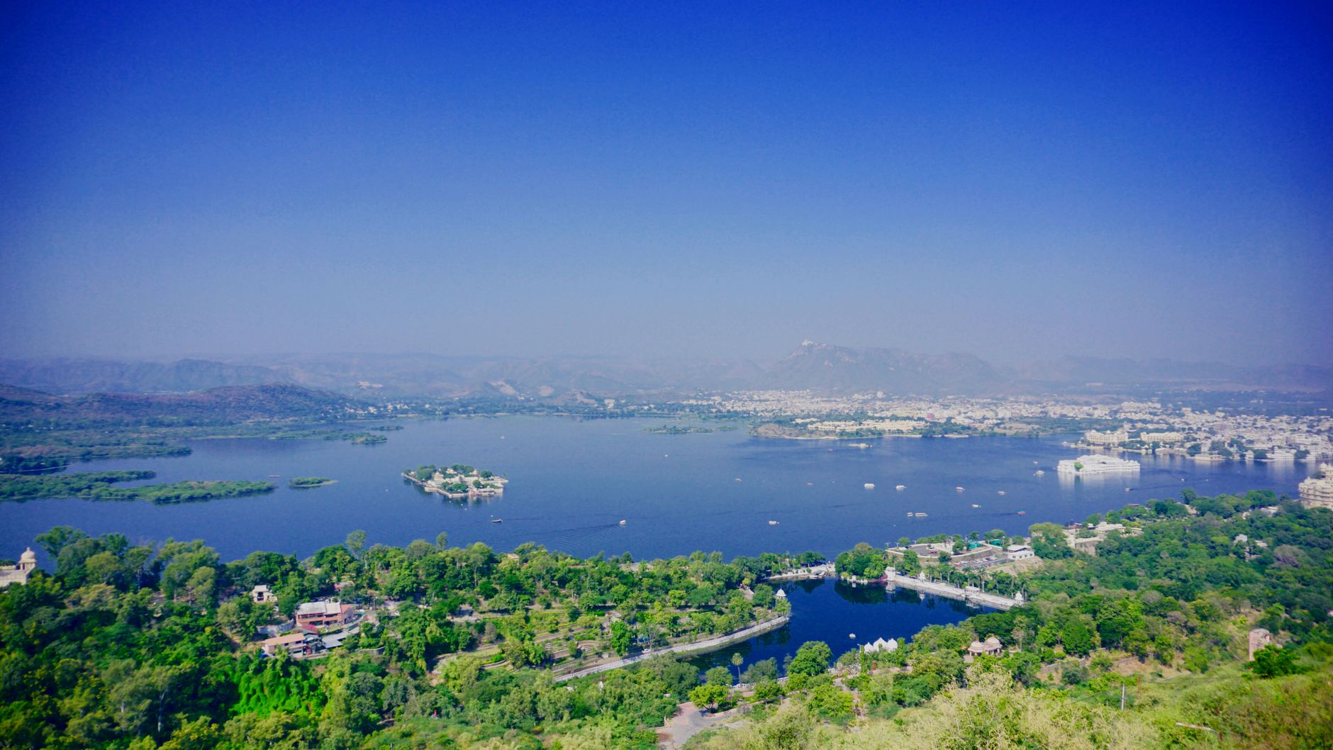 Hired Decorative Collections