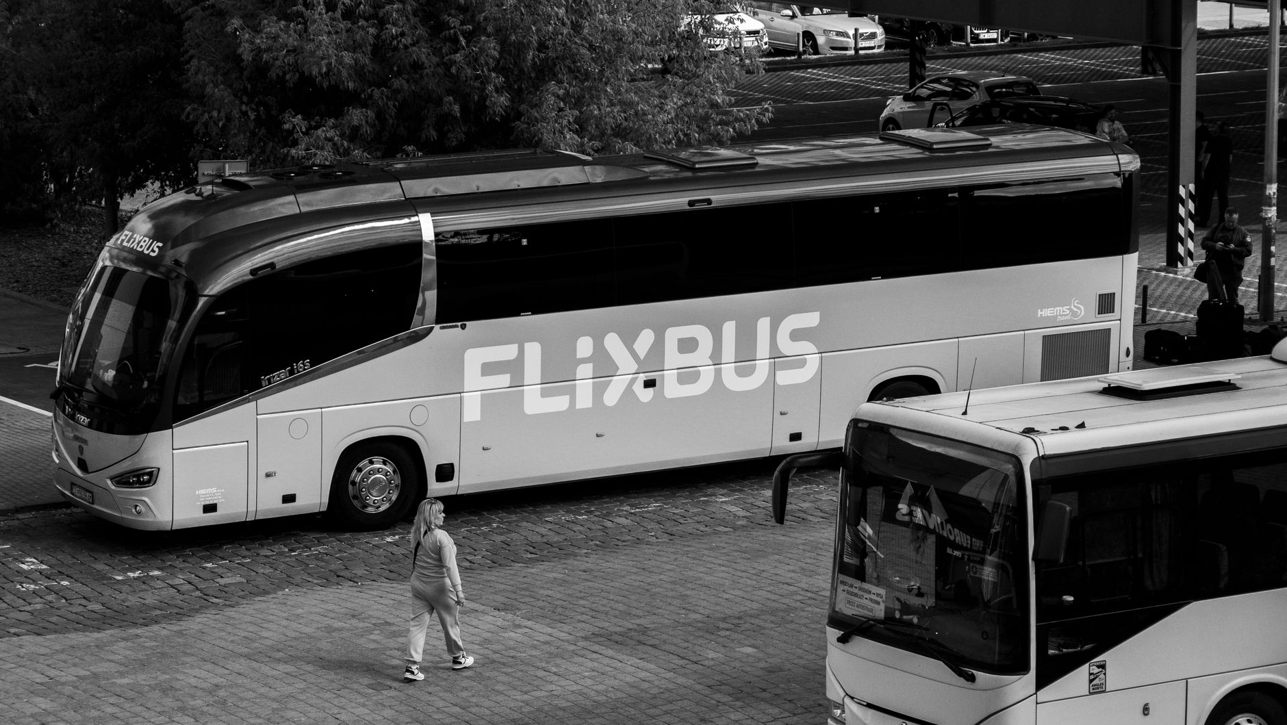 Delegate Coach Service