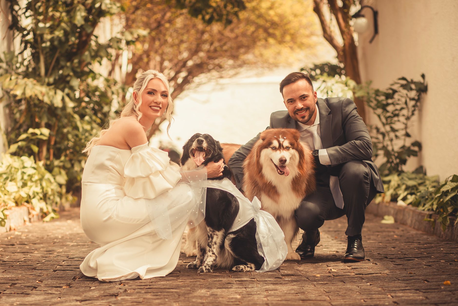 Onsite Pet Care