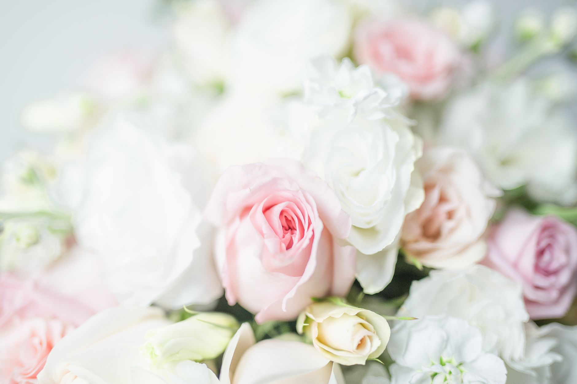 Rose Decor That Steals Every Shot