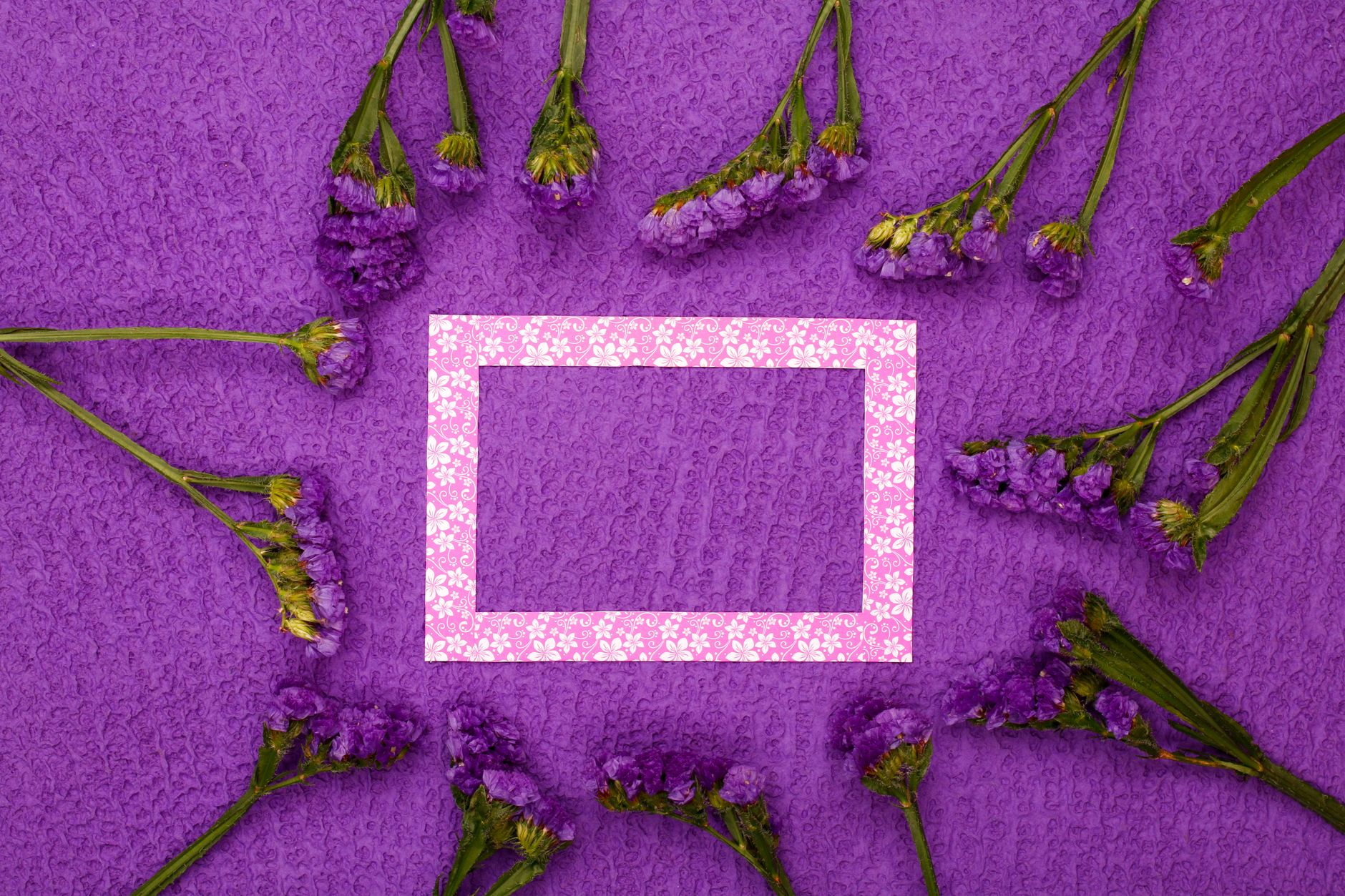 Preserved Floral Frames