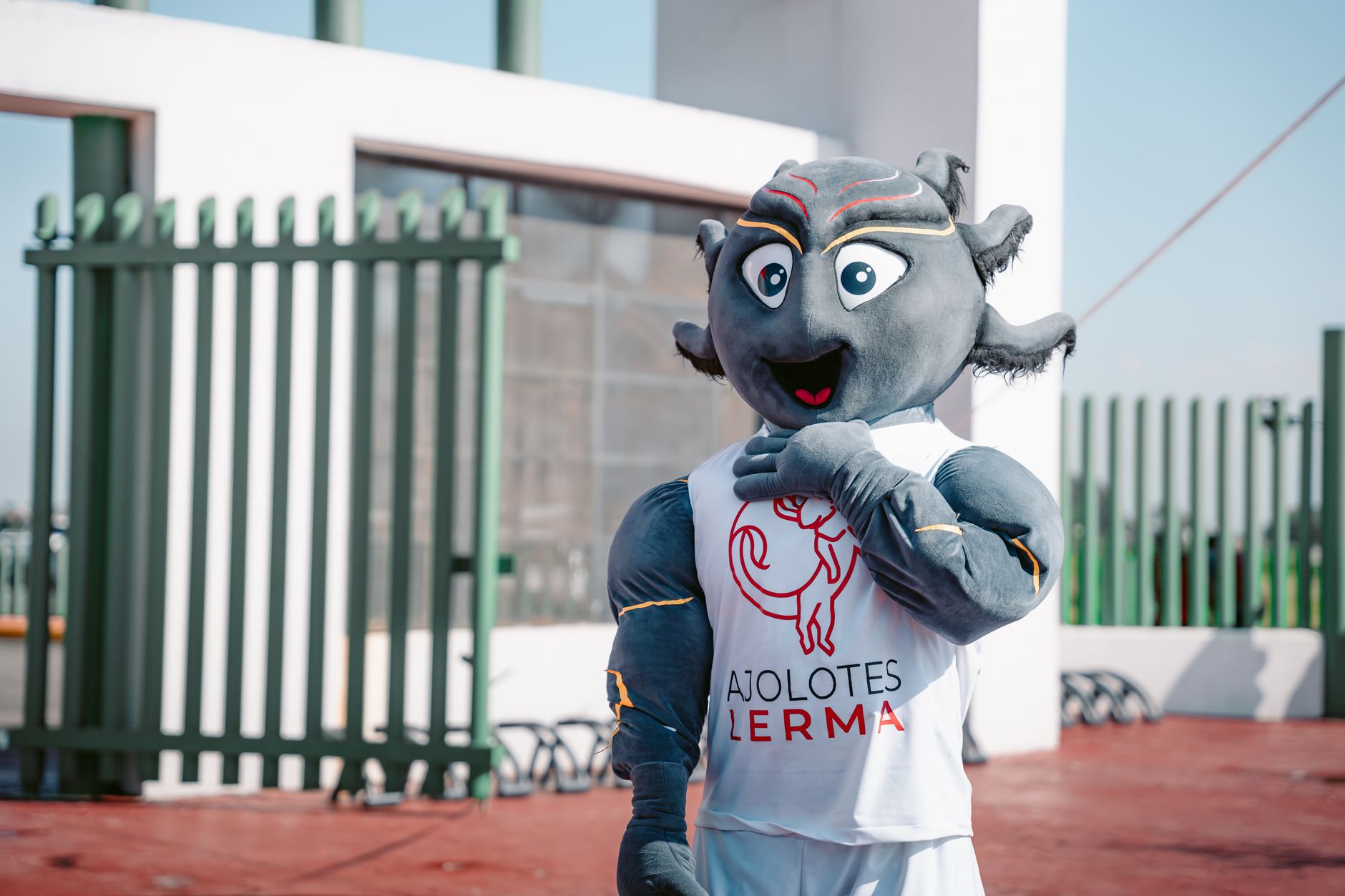 Mascot Magic for Every Occasion