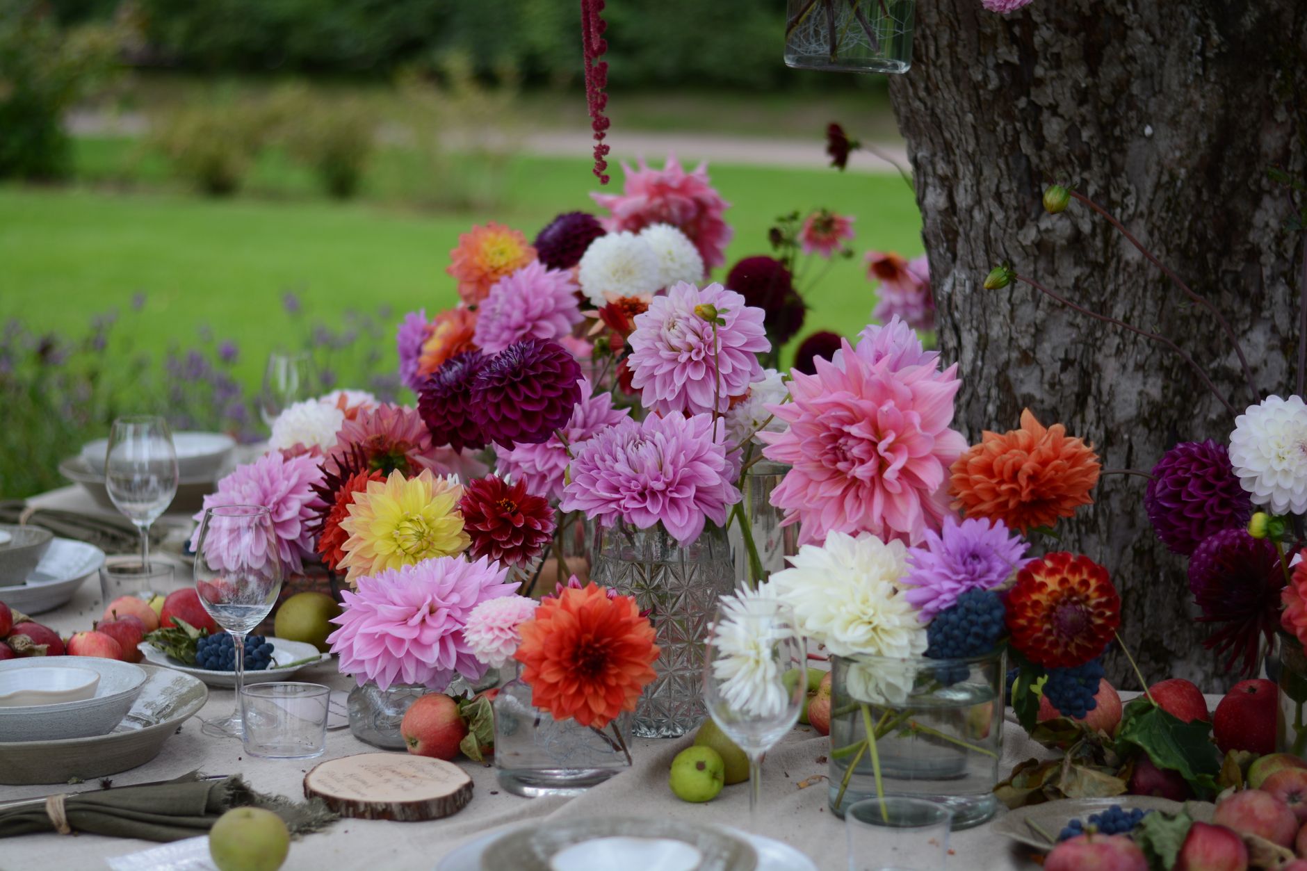 Farm Fresh Catering in Vizag