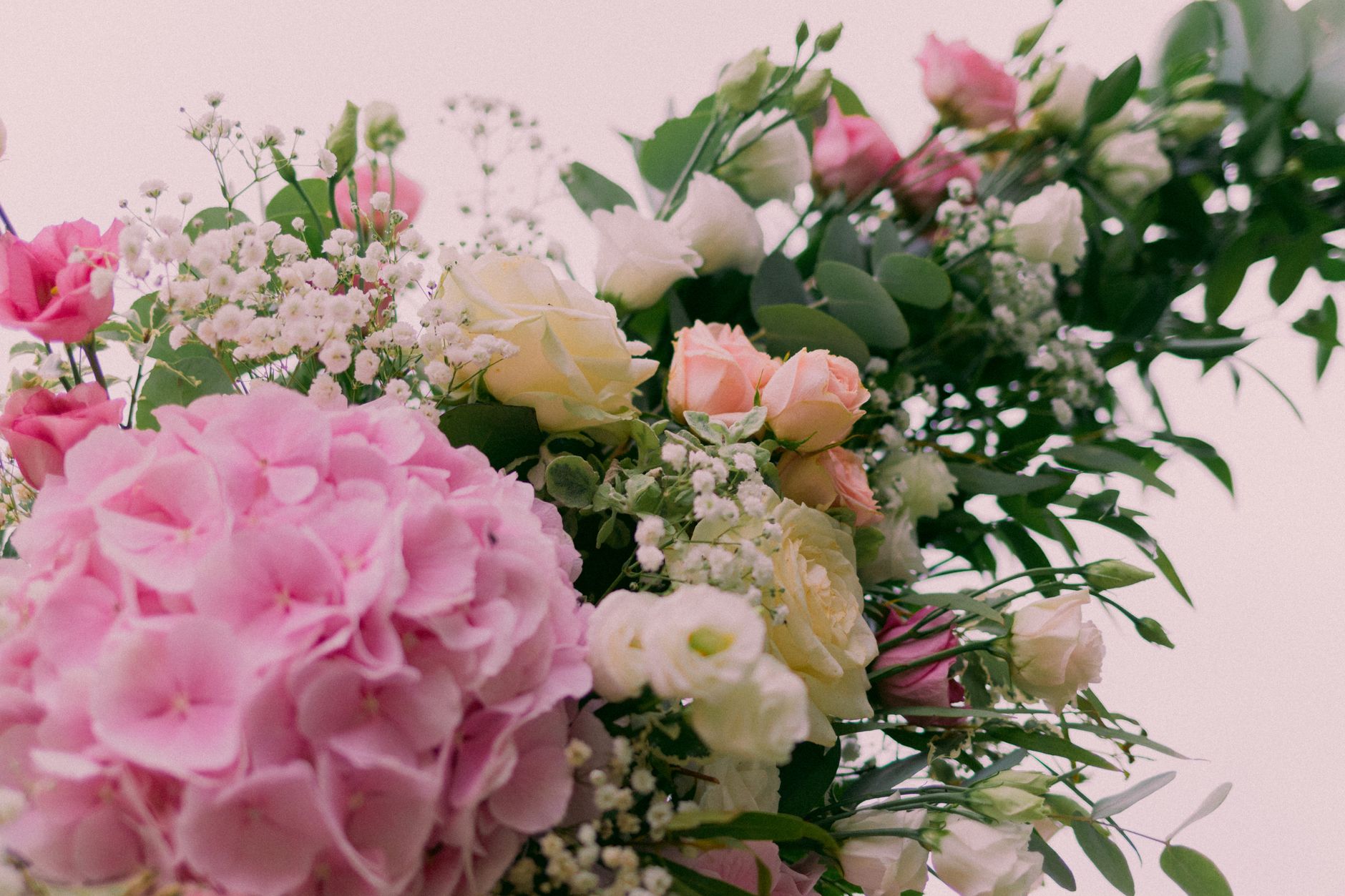 Bloom-Filled Weddings in Vizag