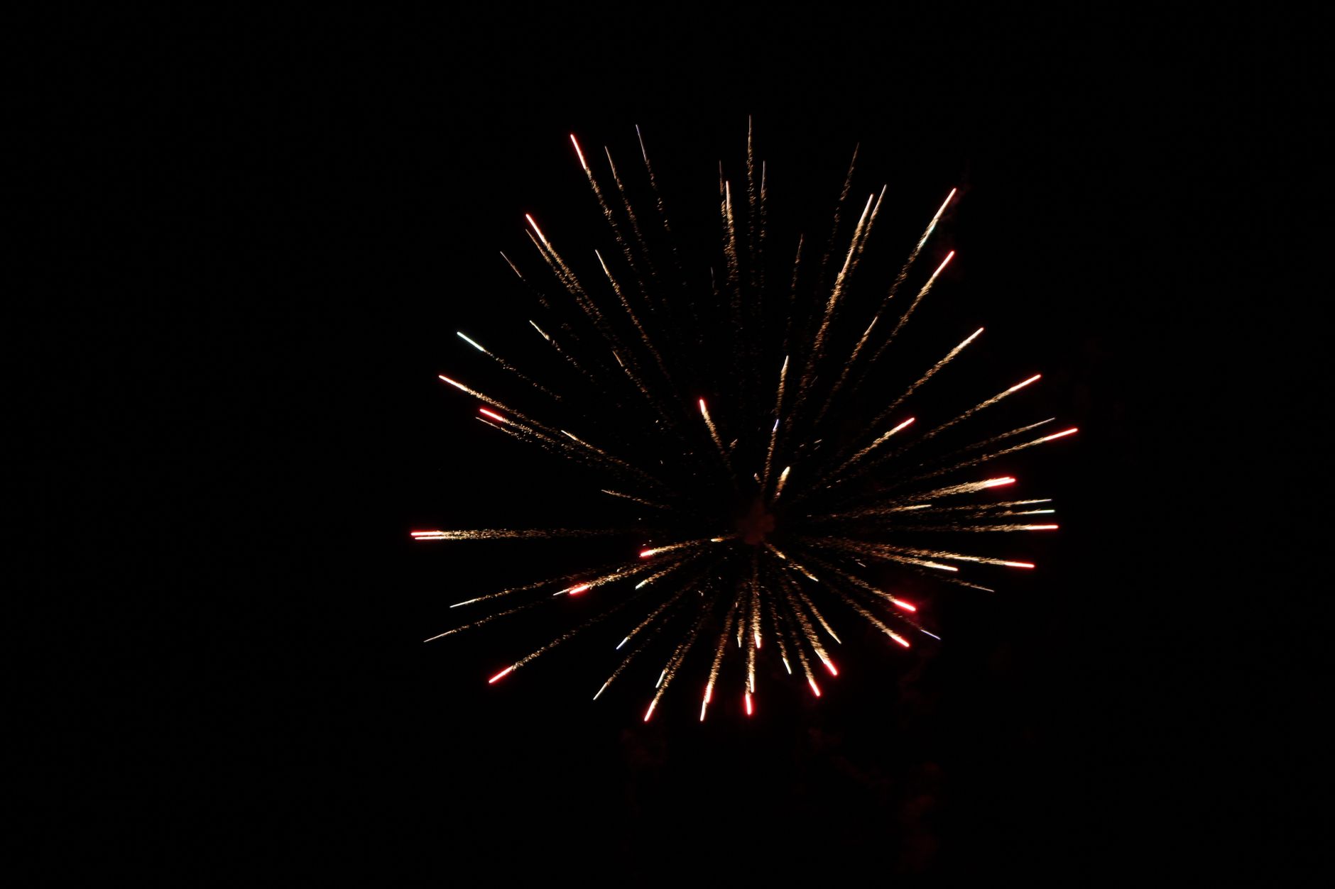 Light Up Your Grand Entry in Vizag