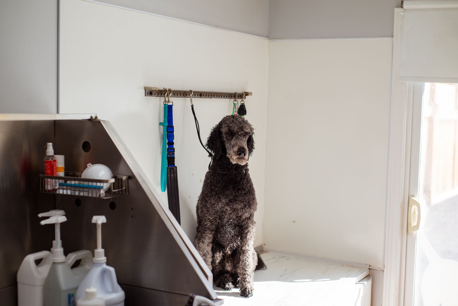 Groom Appearance Concierge