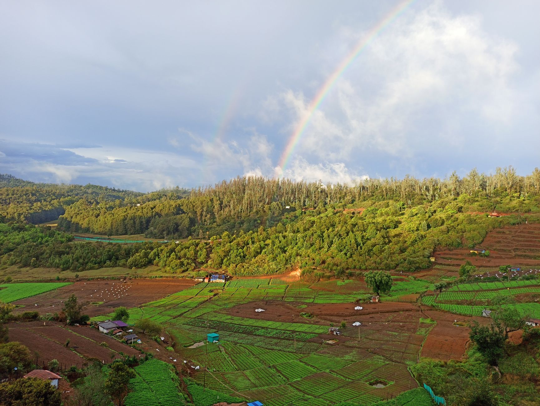 Showcase Your Yercaud Wedding Online
